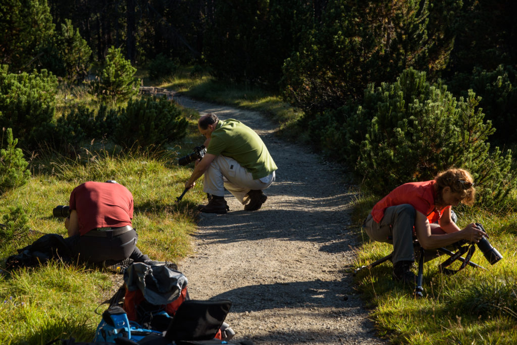 Wochenende im Nationalpark 1 | Fotoschool Pfäffikon ZH