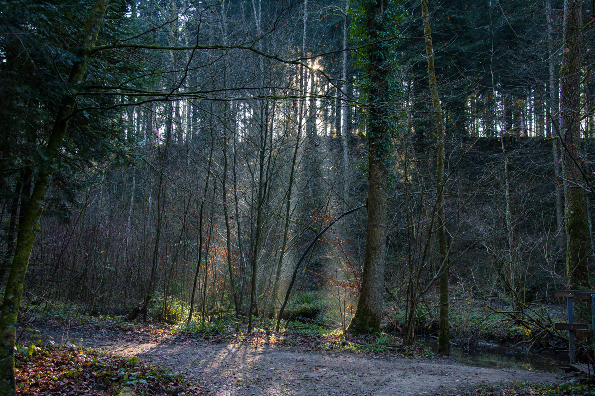 Kurs Fotografie Zwielicht | Fotoschool Pfäffikon ZH