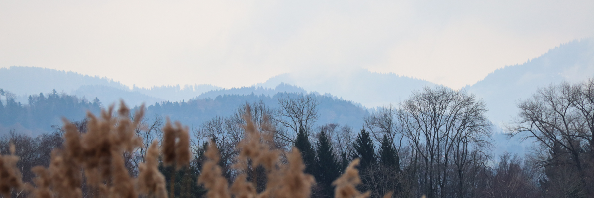 Fotoworkshop Grundlagen | Fotoschool Pfäffikon ZH