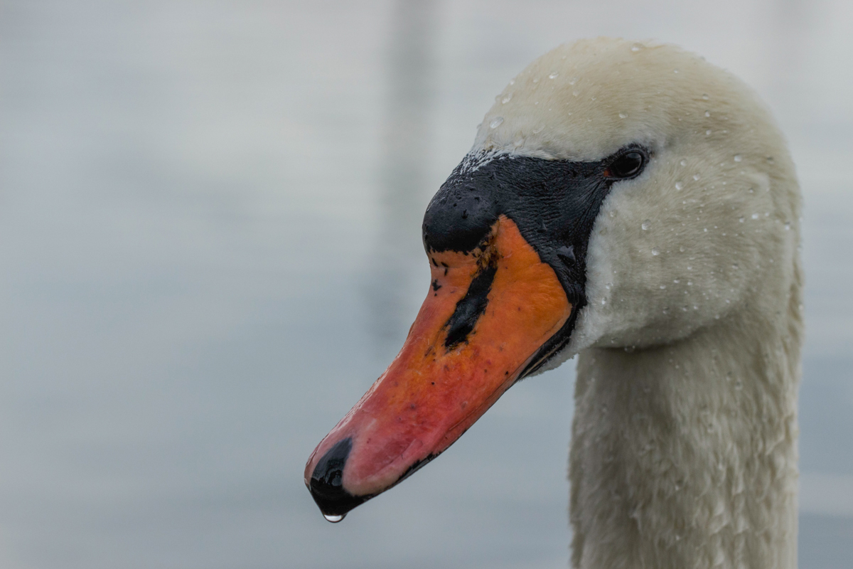 Fotoworkshop Grundlagen | Fotoschool Pfäffikon ZH