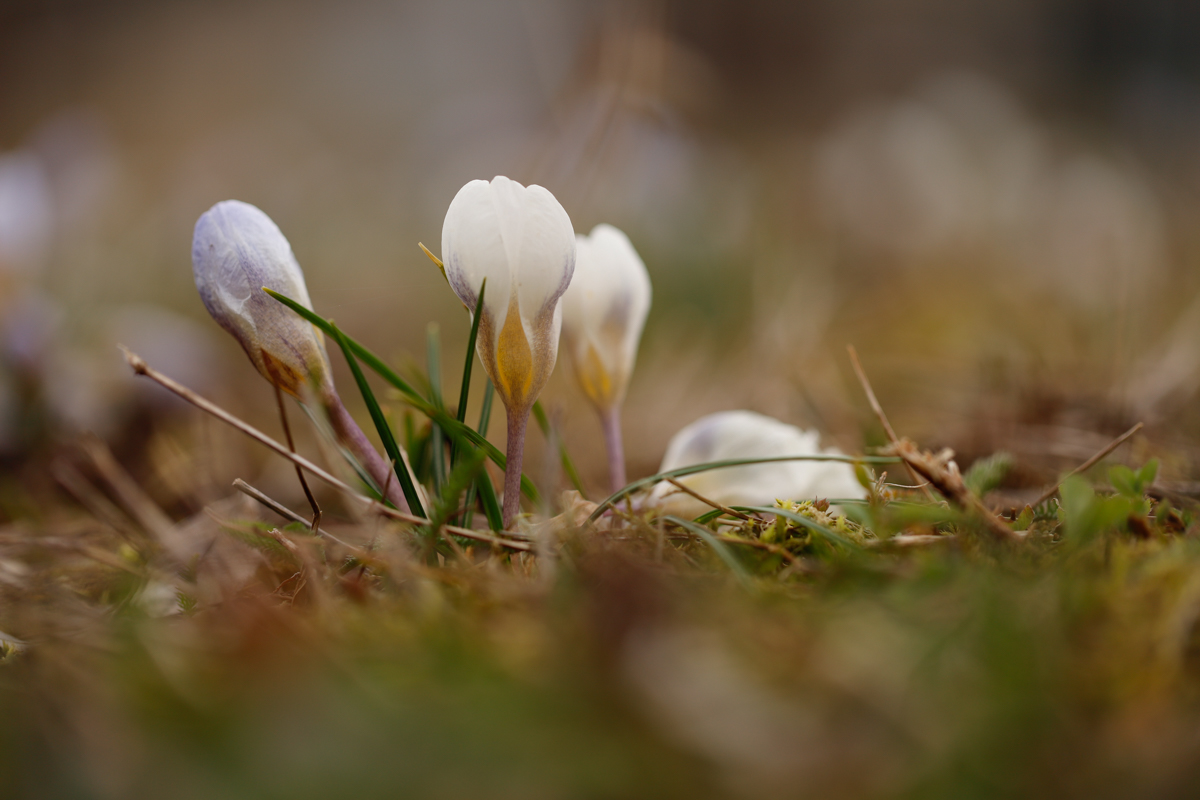 Fotoworkshop Grundlagen | Fotoschool Pfäffikon ZH