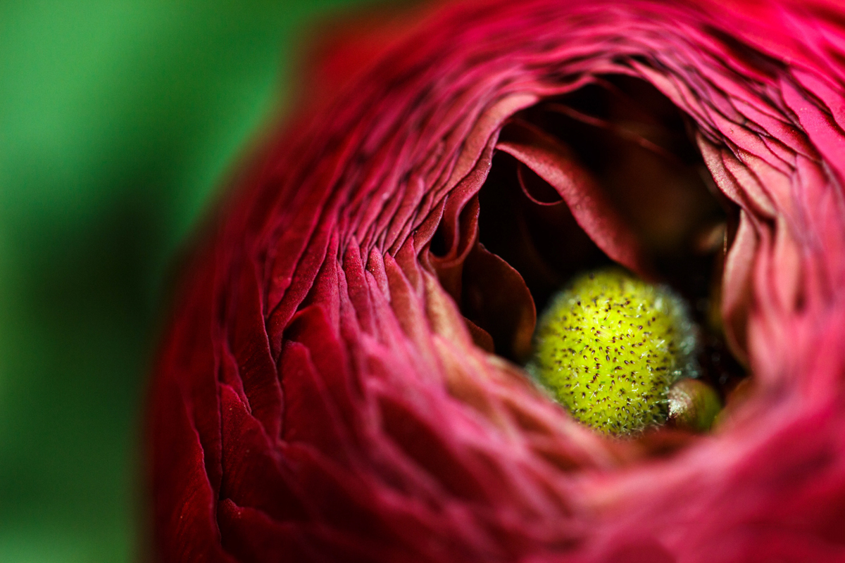 Fotoworkshop Grundlagen | Fotoschool Pfäffikon ZH