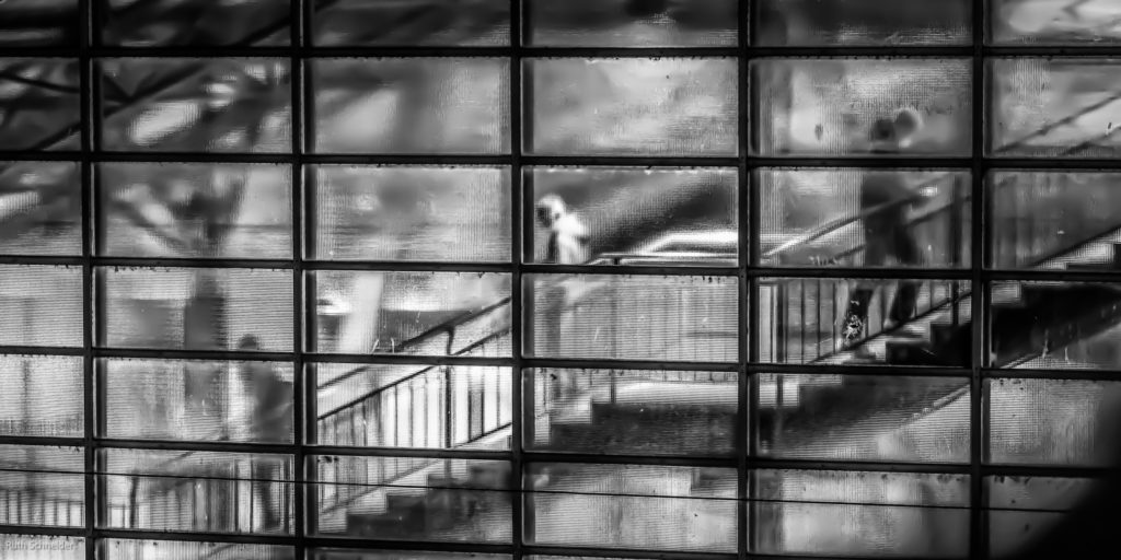 Treppe im Bahnhof Hardbrücke in Zürich. Von aussen nach innen fotografiert.