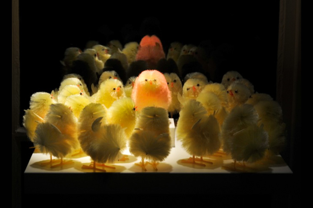 Frohe Ostern | Fotoschool Pfäffikon ZH