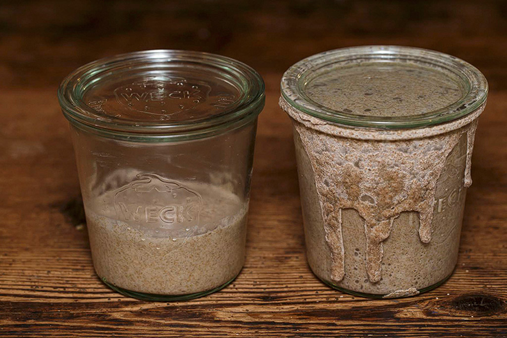 Fotoreportage «Vom Sauerteig zum Brot»